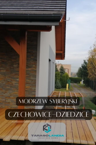 Czechowice-Dziedzice taras z Modrzewia Syberyjskiego