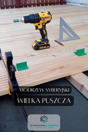 Wielka Puszcza budowa tarsu drewanianego z Modrzewia syberyjskiego, Szeroki Ryfl